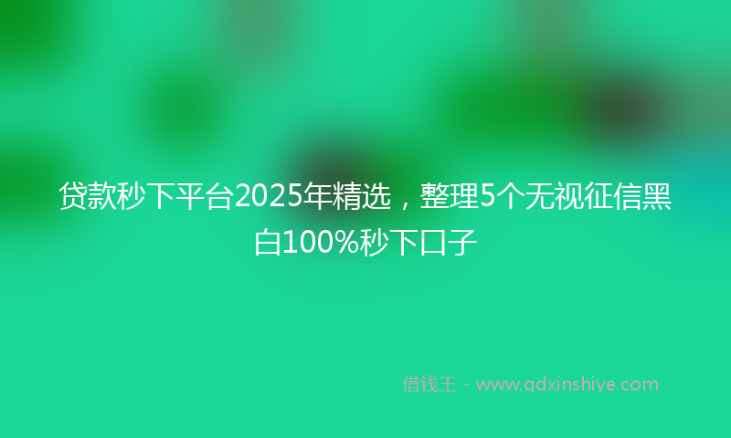 贷款秒下平台2025年精选，整理5个无视征信黑白100%秒下口子