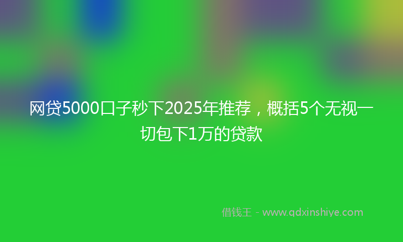 网贷5000口子秒下2025年推荐，概括5个无视一切包下1万的贷款