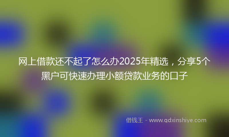 网上借款还不起了怎么办2025年精选，分享5个黑户可快速办理小额贷款业务的口子