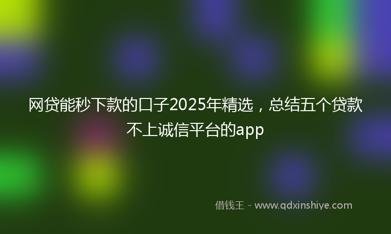 网贷能秒下款的口子2025年精选，总结五个贷款不上诚信平台的app