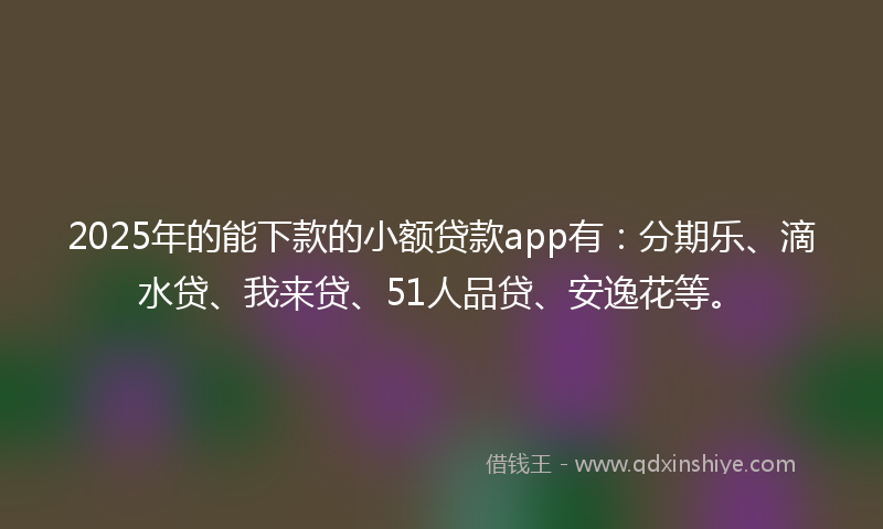 2025年的能下款的小额贷款app有：分期乐、滴水贷、我来贷、51人品贷、安逸花等。