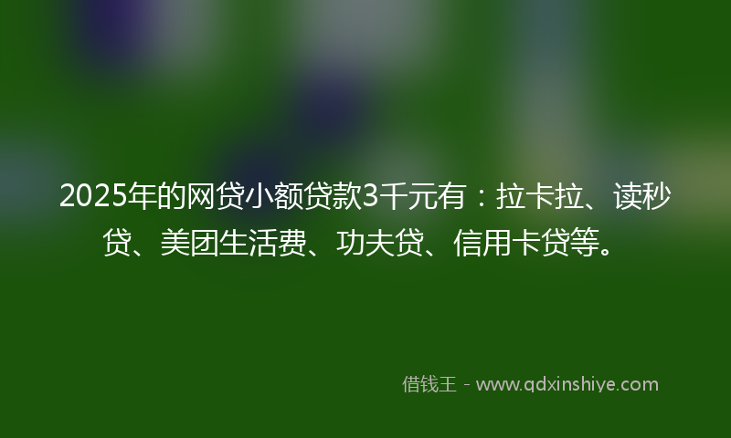 2025年的网贷小额贷款3千元有：拉卡拉、读秒贷、美团生活费、功夫贷、信用卡贷等。