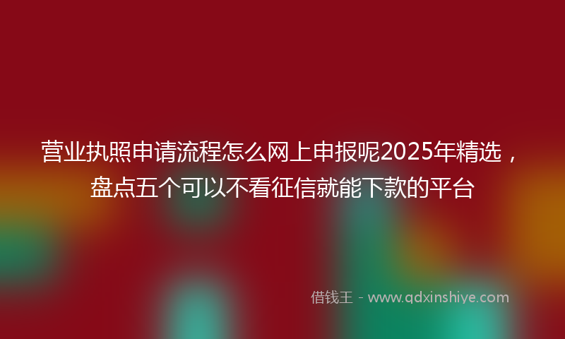 营业执照申请流程怎么网上申报呢2025年精选，盘点五个可以不看征信就能下款的平台