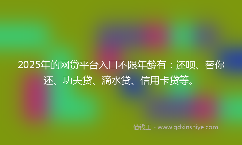 2025年的网贷平台入口不限年龄有：还呗、替你还、功夫贷、滴水贷、信用卡贷等。