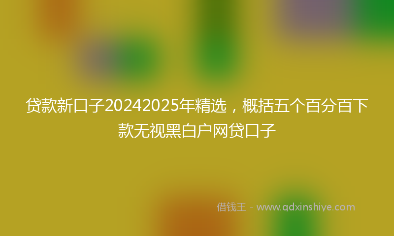 贷款新口子20242025年精选，概括五个百分百下款无视黑白户网贷口子