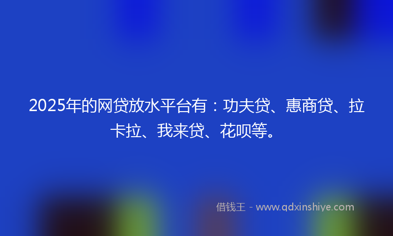 2025年的网贷放水平台有：功夫贷、惠商贷、拉卡拉、我来贷、花呗等。