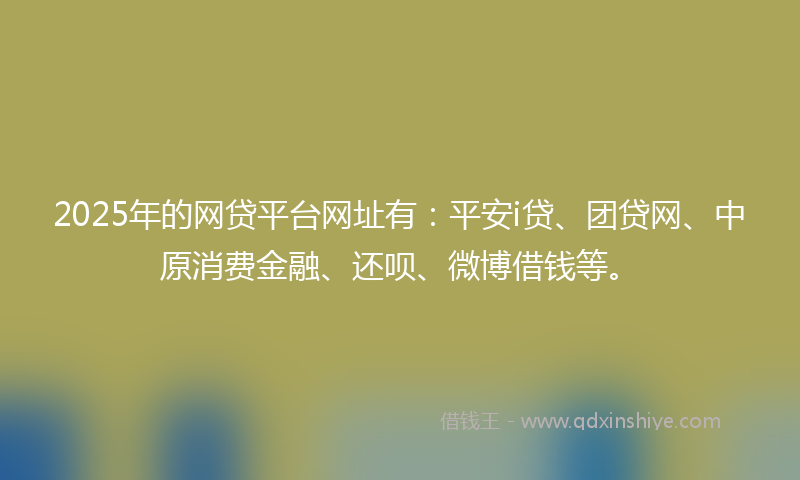 2025年的网贷平台网址有：平安i贷、团贷网、中原消费金融、还呗、微博借钱等。