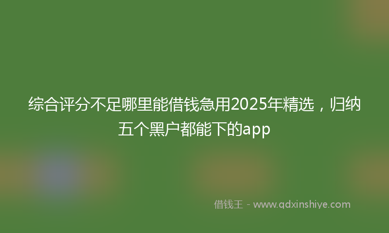 综合评分不足哪里能借钱急用2025年精选，归纳五个黑户都能下的app