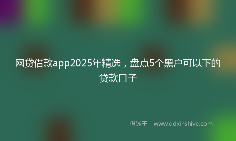 网贷借款app2025年精选，盘点5个黑户可以下的贷款口子