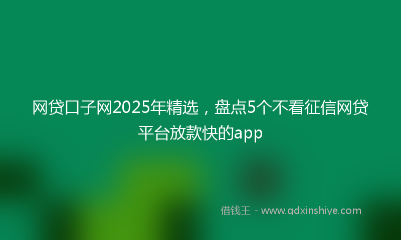 网贷口子网2025年精选，盘点5个不看征信网贷平台放款快的app