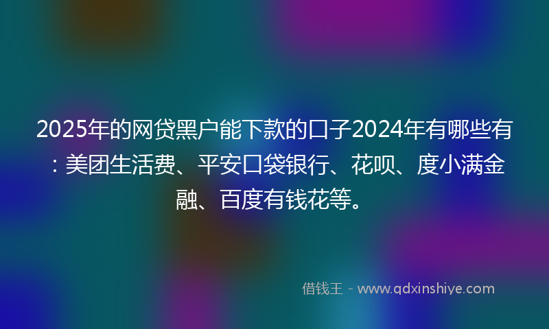 2025年的网贷黑户能下款的口子2024年有哪些有：美团生活费、平安口袋银行、花呗、度小满金融、百度有钱花等。