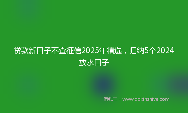 贷款新口子不查征信2025年精选，归纳5个2024放水口子