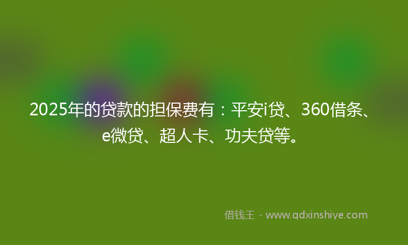 2025年的贷款的担保费有：平安i贷、360借条、e微贷、超人卡、功夫贷等。