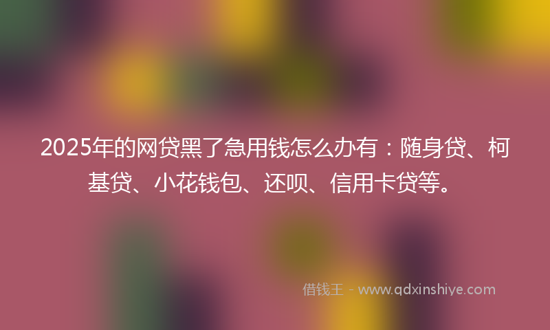 2025年的网贷黑了急用钱怎么办有：随身贷、柯基贷、小花钱包、还呗、信用卡贷等。
