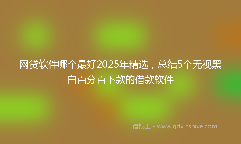 网贷软件哪个最好2025年精选，总结5个无视黑白百分百下款的借款软件
