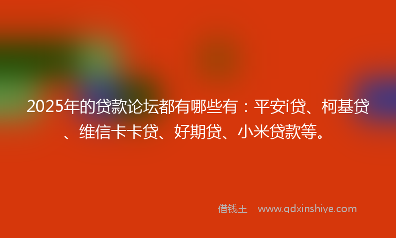 2025年的贷款论坛都有哪些有：平安i贷、柯基贷、维信卡卡贷、好期贷、小米贷款等。