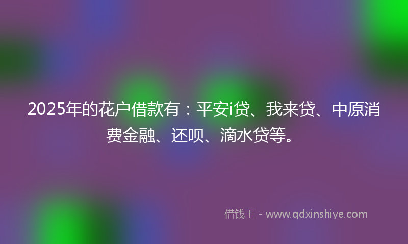 2025年的花户借款有：平安i贷、我来贷、中原消费金融、还呗、滴水贷等。