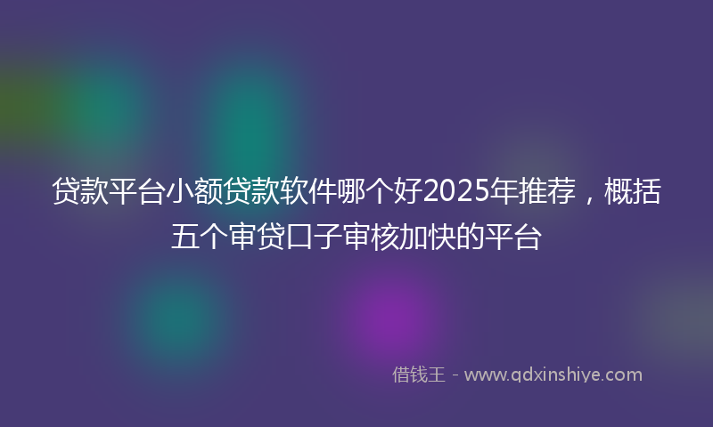 贷款平台小额贷款软件哪个好2025年推荐，概括五个审贷口子审核加快的平台