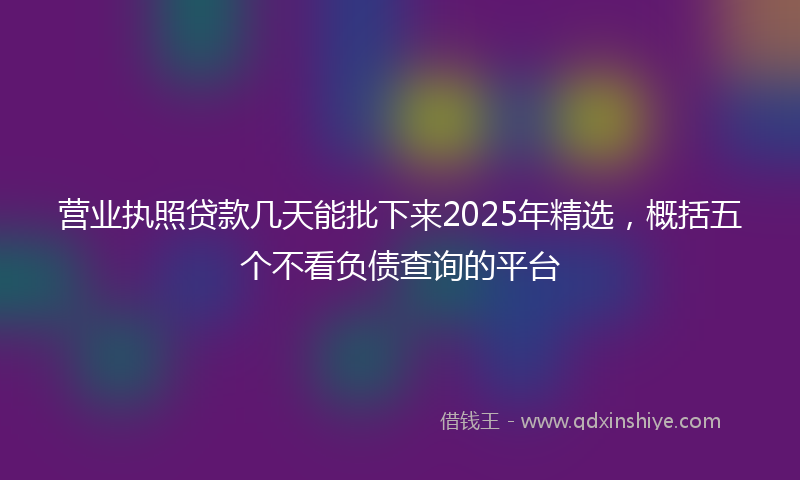营业执照贷款几天能批下来2025年精选，概括五个不看负债查询的平台