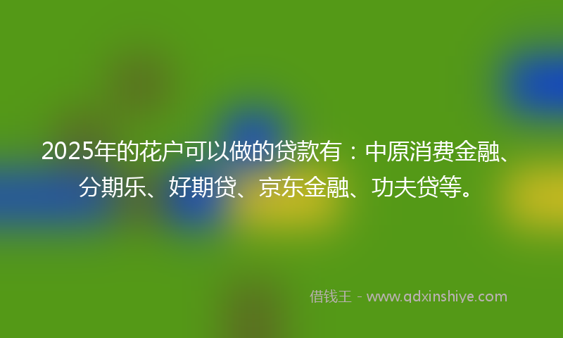 2025年的花户可以做的贷款有：中原消费金融、分期乐、好期贷、京东金融、功夫贷等。