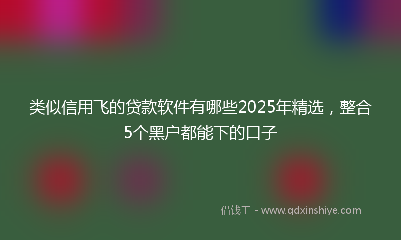 类似信用飞的贷款软件有哪些2025年精选，整合5个黑户都能下的口子