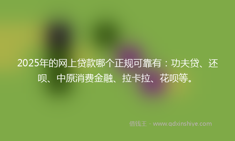 2025年的网上贷款哪个正规可靠有：功夫贷、还呗、中原消费金融、拉卡拉、花呗等。