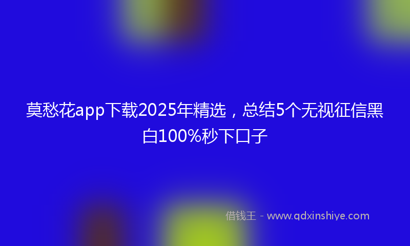莫愁花app下载2025年精选，总结5个无视征信黑白100%秒下口子
