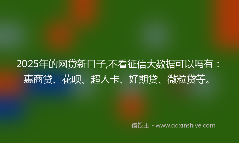 2025年的网贷新口子,不看征信大数据可以吗有：惠商贷、花呗、超人卡、好期贷、微粒贷等。