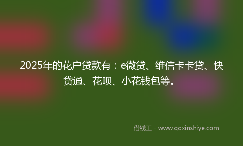 2025年的花户贷款有：e微贷、维信卡卡贷、快贷通、花呗、小花钱包等。