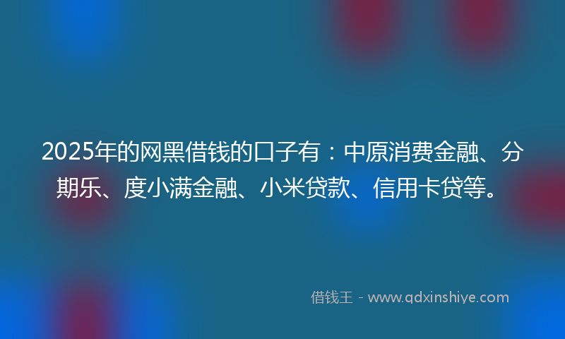 2025年的网黑借钱的口子有：中原消费金融、分期乐、度小满金融、小米贷款、信用卡贷等。