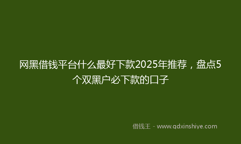 网黑借钱平台什么最好下款2025年推荐，盘点5个双黑户必下款的口子