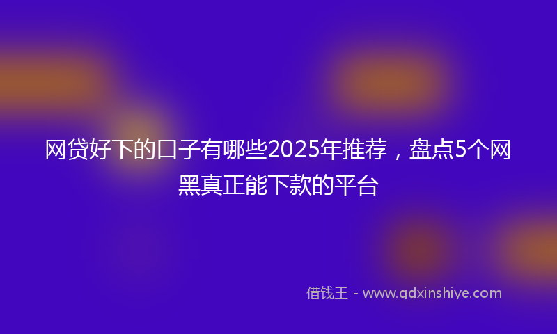 网贷好下的口子有哪些2025年推荐，盘点5个网黑真正能下款的平台