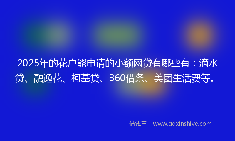 2025年的花户能申请的小额网贷有哪些有：滴水贷、融逸花、柯基贷、360借条、美团生活费等。