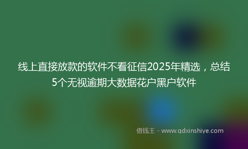 线上直接放款的软件不看征信2025年精选，总结5个无视逾期大数据花户黑户软件