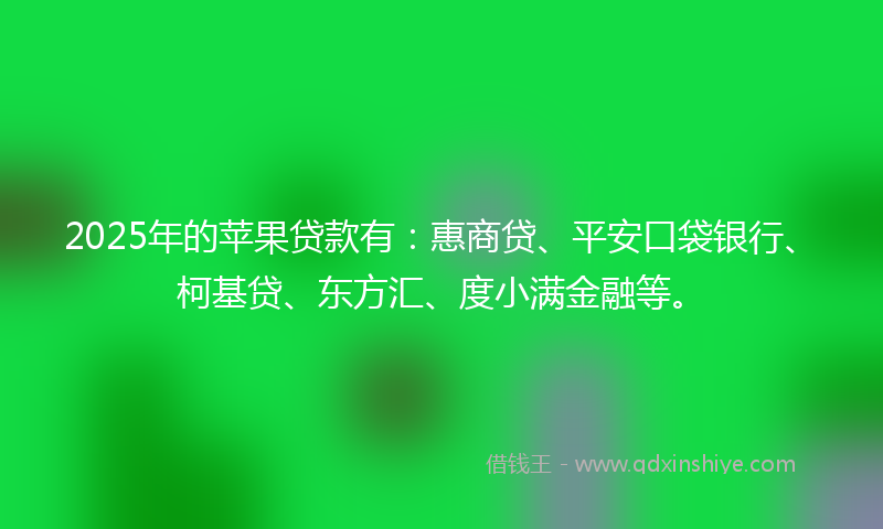 2025年的苹果贷款有：惠商贷、平安口袋银行、柯基贷、东方汇、度小满金融等。