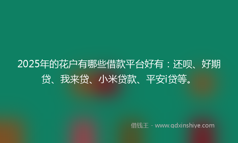 2025年的花户有哪些借款平台好有：还呗、好期贷、我来贷、小米贷款、平安i贷等。