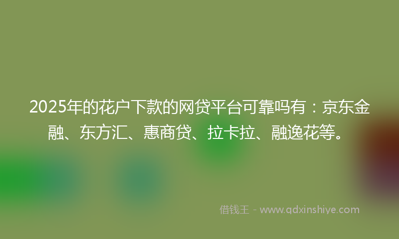 2025年的花户下款的网贷平台可靠吗有：京东金融、东方汇、惠商贷、拉卡拉、融逸花等。