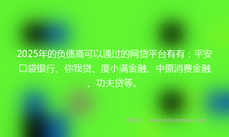 2025年的负债高可以通过的网贷平台有有：平安口袋银行、你我贷、度小满金融、中原消费金融、功夫贷等。