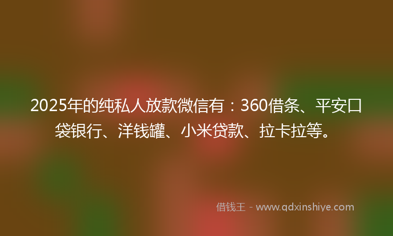 2025年的纯私人放款微信有：360借条、平安口袋银行、洋钱罐、小米贷款、拉卡拉等。