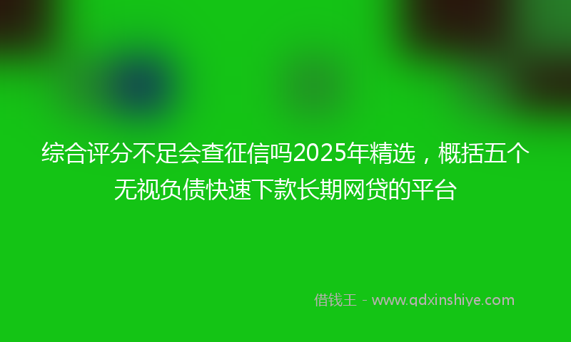 综合评分不足会查征信吗2025年精选，概括五个无视负债快速下款长期网贷的平台