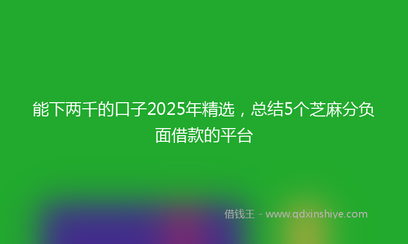 能下两千的口子2025年精选，总结5个芝麻分负面借款的平台