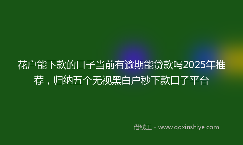 花户能下款的口子当前有逾期能贷款吗2025年推荐，归纳五个无视黑白户秒下款口子平台