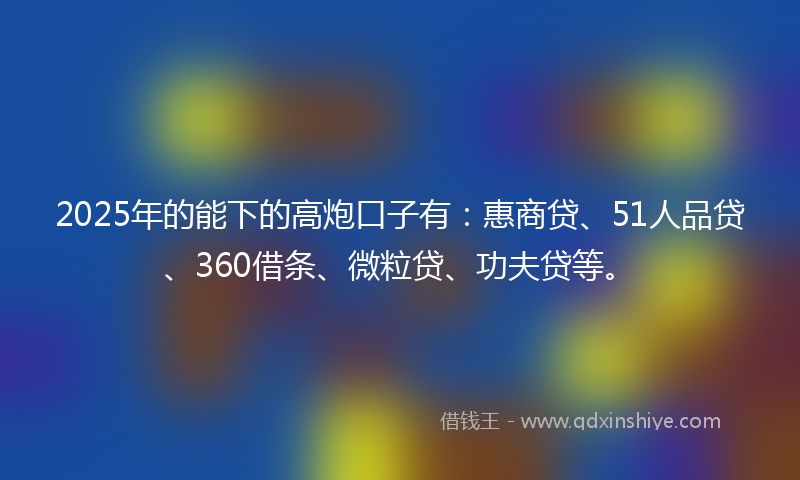 2025年的能下的高炮口子有：惠商贷、51人品贷、360借条、微粒贷、功夫贷等。