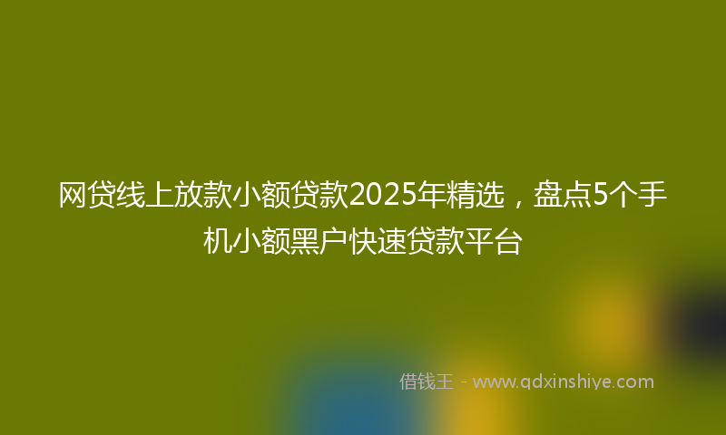 网贷线上放款小额贷款2025年精选，盘点5个手机小额黑户快速贷款平台