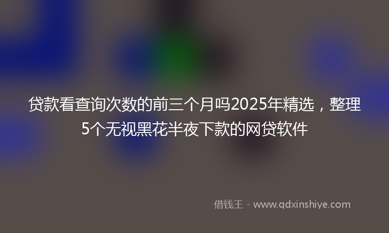 贷款看查询次数的前三个月吗2025年精选，整理5个无视黑花半夜下款的网贷软件