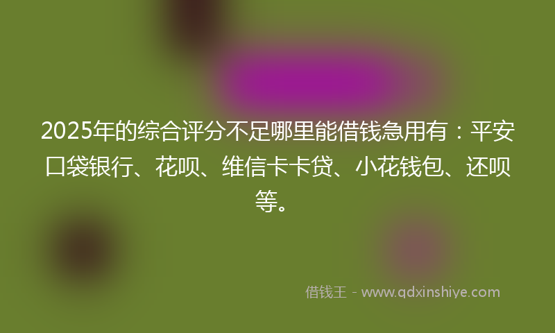 2025年的综合评分不足哪里能借钱急用有：平安口袋银行、花呗、维信卡卡贷、小花钱包、还呗等。