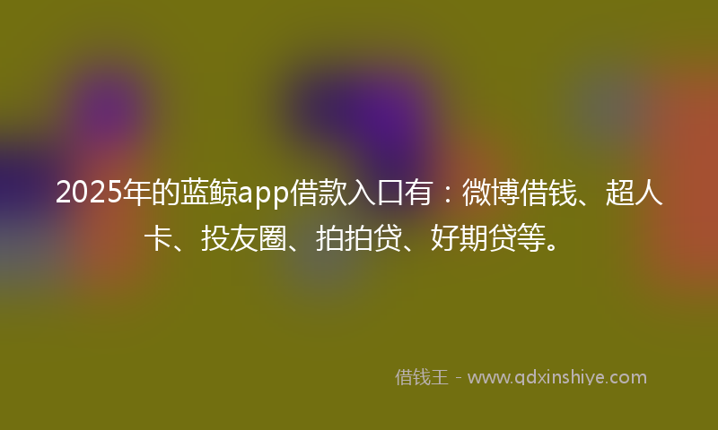 2025年的蓝鲸app借款入口有：微博借钱、超人卡、投友圈、拍拍贷、好期贷等。