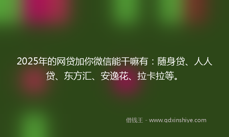 2025年的网贷加你微信能干嘛有：随身贷、人人贷、东方汇、安逸花、拉卡拉等。