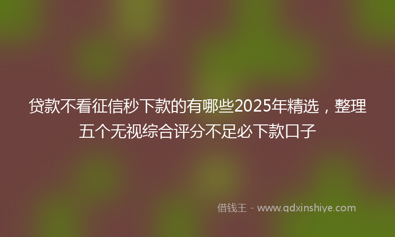 贷款不看征信秒下款的有哪些2025年精选，整理五个无视综合评分不足必下款口子
