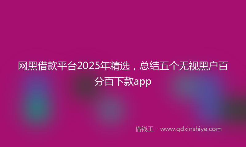 网黑借款平台2025年精选，总结五个无视黑户百分百下款app